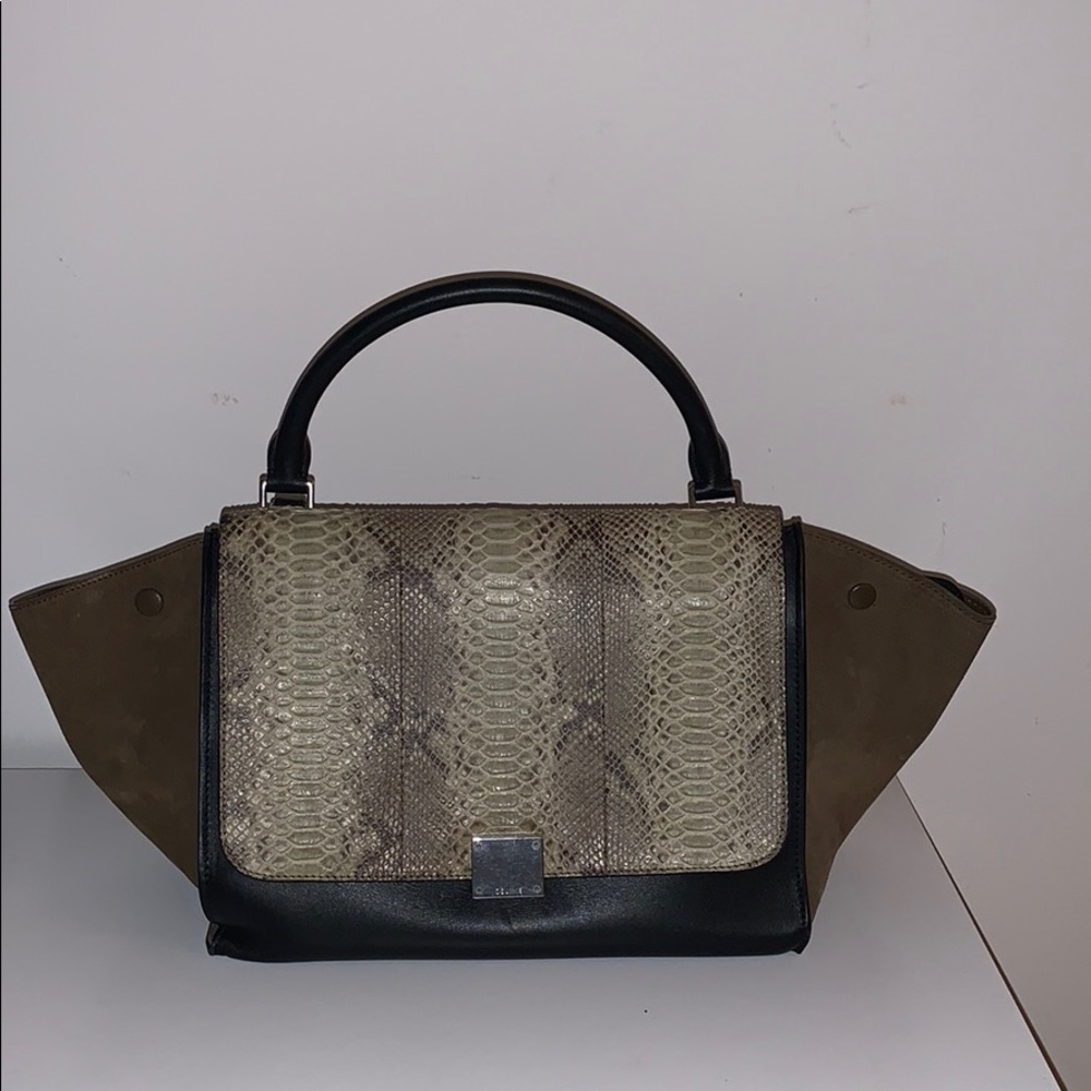 Celine Python Trapeze Bag